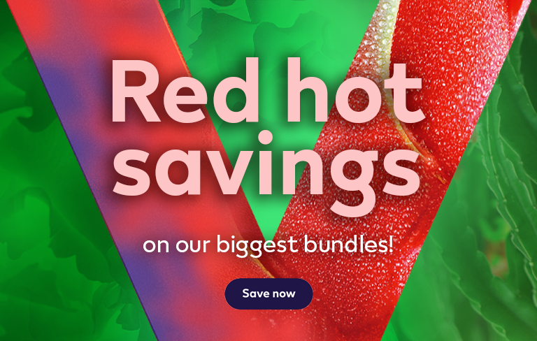 Red hot savings on our biggest bundles! 